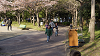 hana26 (339)_thumb.png